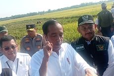 Jokowi Sebut Pengunduran Diri Zainudin Amali Diputuskan Hari Ini