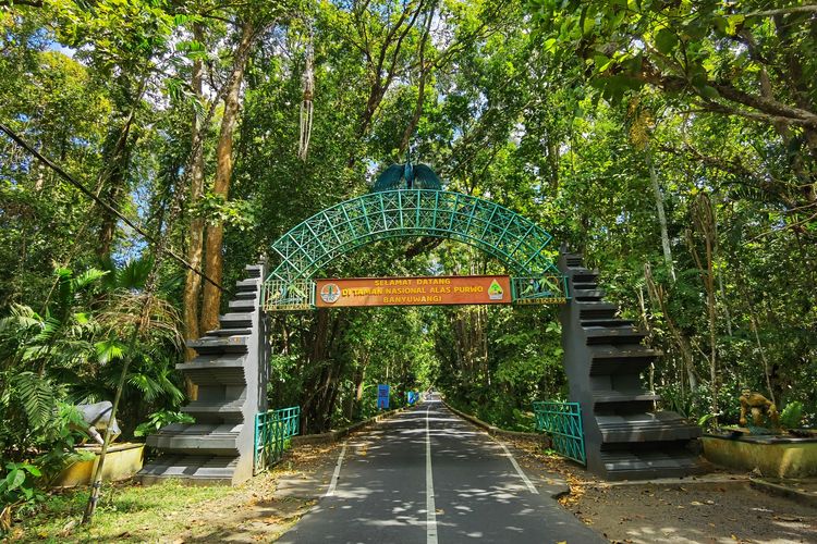 Pemerintah Jajaki Pendanaan dari Perdagangan Karbon untuk Biayai Taman Nasional