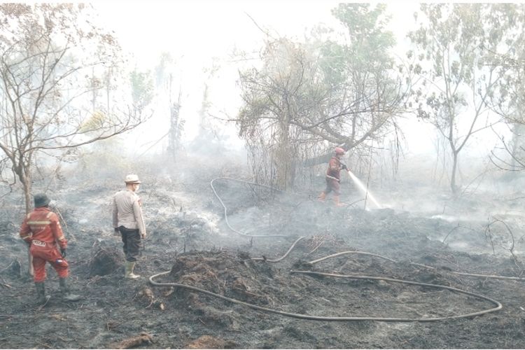 Ulah Manusia di Balik Asap Karhutla, Hutan Sengaja Dibakar demi Buka Lahan