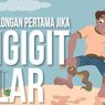 Pertolongan Pertama jika Digigit Ular 