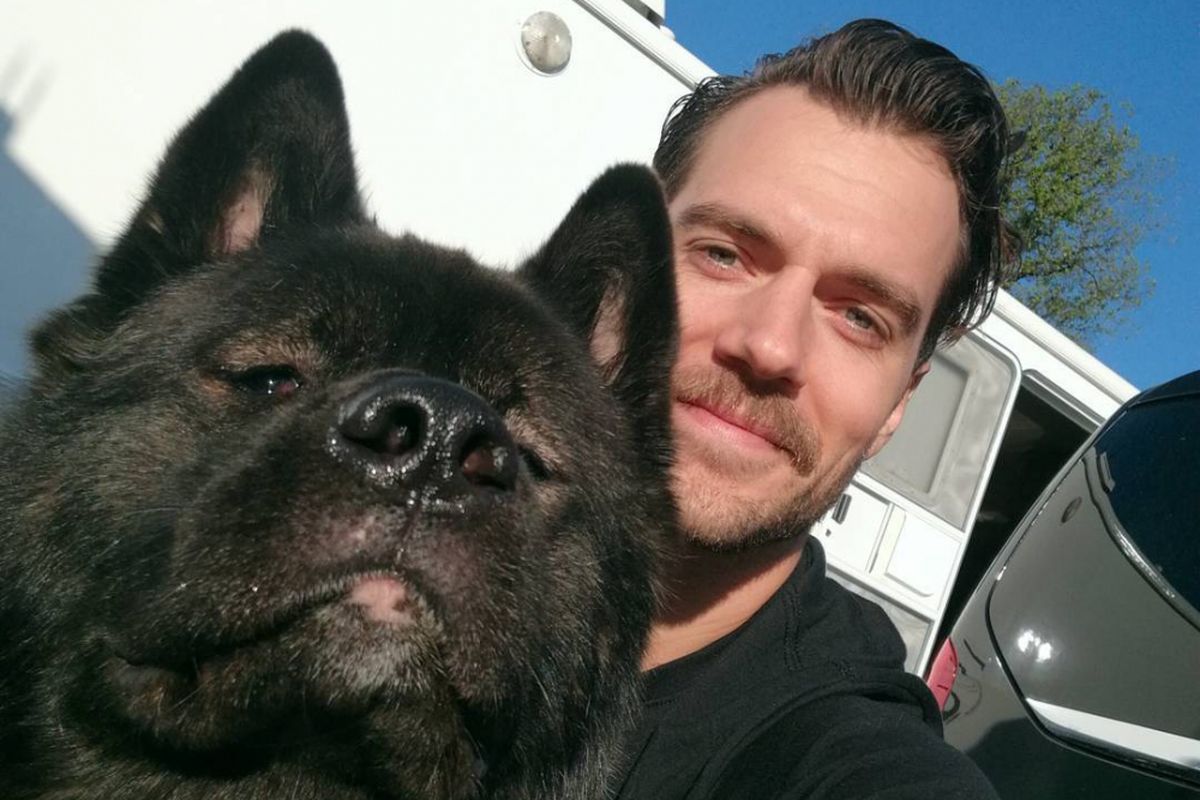 Henry Cavill bersama anjing pooch peliharaannya yang bernama Kal