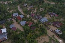 Terendam Banjir, 25 Hektar Sawah di Aceh Utara Terancam Gagal Panen 