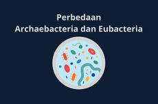 Perbedaan Archaebacteria dan Eubacteria