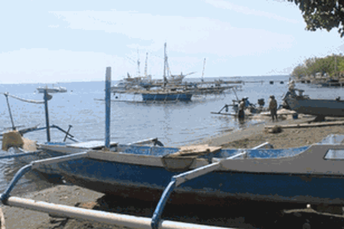 Desa Pemuteran di Singaraja, Bali.