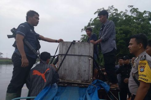 Evakuasi Harimau Bonita Dirahasiakan Petugas Gabungan