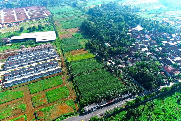 Sawah 6,45 Juta Hektar Resmi Diamankan buat Swasembada Pangan