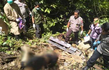 Kronologi Sopir Travel Perkosa dan Bunuh Penumpangnya di Luwu ...