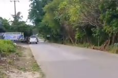 Rapor Honda di MotoGP 2025, Lebih Cepat dari Tahun Lalu