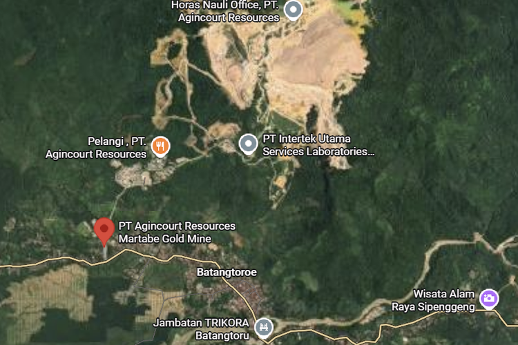 10 Negara dengan Deforestasi Terbesar di Dunia, Ada Indonesia