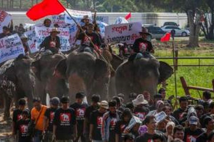 Ratusan pawang gajah Thailand melakukan unjuk rasa di kota Ayutthaya memprotes rencana pemerintah menasionalisasi seluruh gajah di negeri itu.