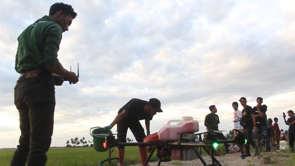 Petani di Daerah Lumbung Beras Sulsel Mulai Menggunakan Drone untuk Basmi Hama di Sawah