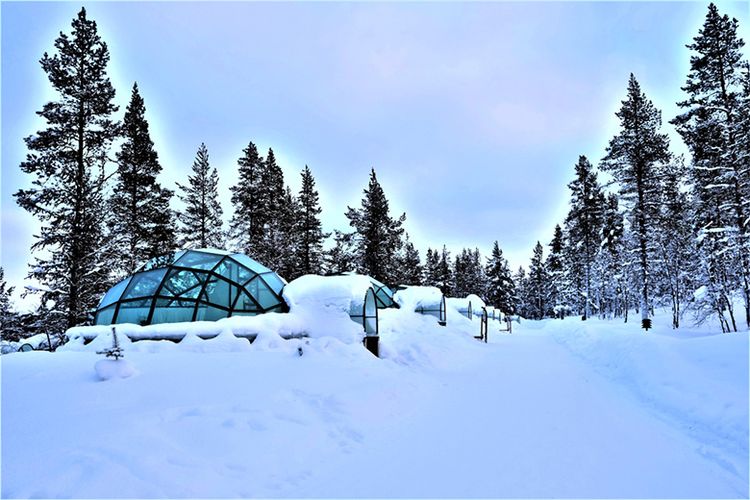 Di Kota Rovaniemi wisatawan bisa menginap di Glass Igloo untuk merasakan sensasi bermalam sambil memandang gugusan bintang dan butiran salju yang turun ke atap kaca