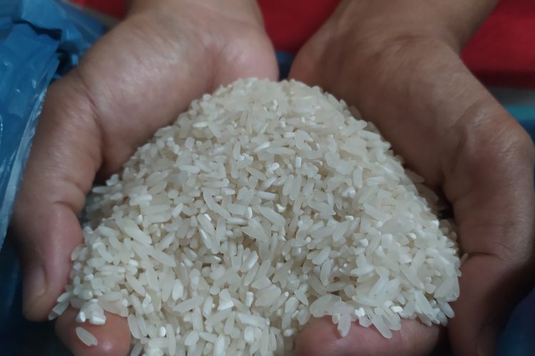 Bantuan beras cadangan pangan pemerintah (CPP) mulai dibagikan untuk warga Kota Semarang.