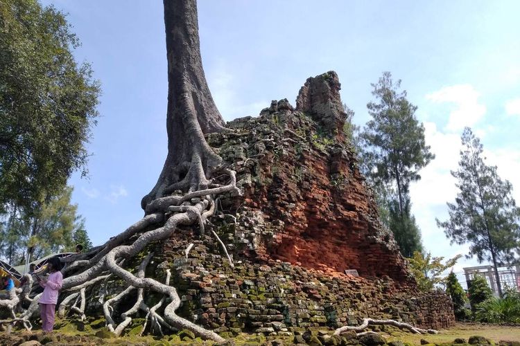 Candi Lor, di bagian atas bangunan tumbuh pohon kepuh berukuran besar