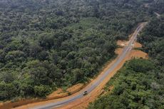 Ibu Kota Baru Indonesia, dari Proses hingga Pemilihan Kalimantan...