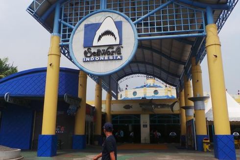 Ancol Hanya Akui Biota Laut sebagai Aset Sea World