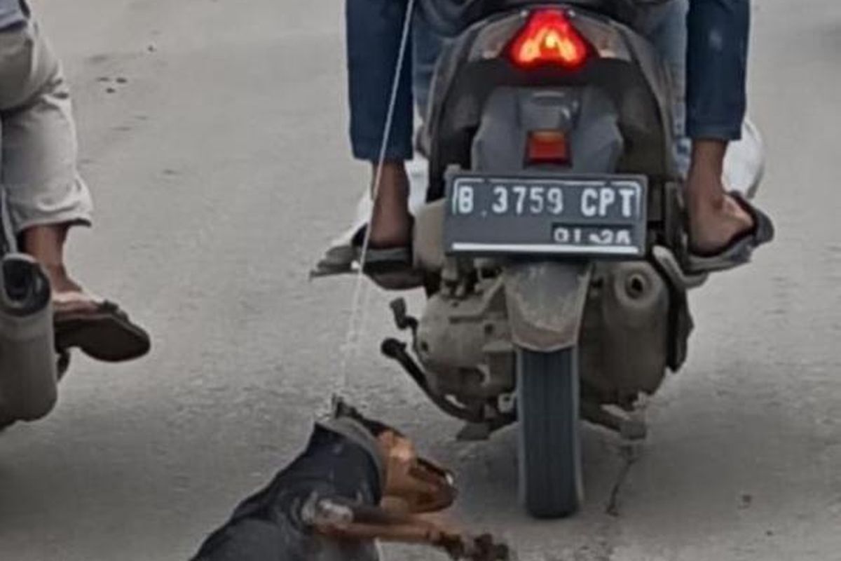 Dua pria bermotor yang menyeret seekor anjing ketika difoto oleh salah seorang pengendara motor di Dumpit, Jatiuwung, Kota Tangerang, Senin (1/2/2021). (istimewa)