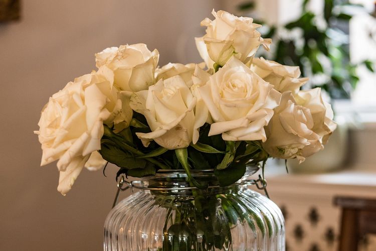 Ilustrasi bunga mawar segar di dalam vas. 