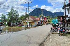 Puluhan Hektar Lahan Padi di Kabupaten Landak Terendam Banjir