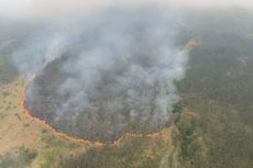 Kebakaran Gunung Arjuno Meluas, Tahura R Soerjo Buka Pendaftaran Relawan Pemadam Api