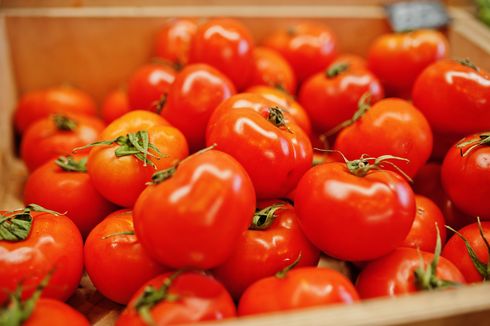 5 Manfaat Buah Tomat yang Bagus untuk Kecantikan dan Kesehatan Tubuh