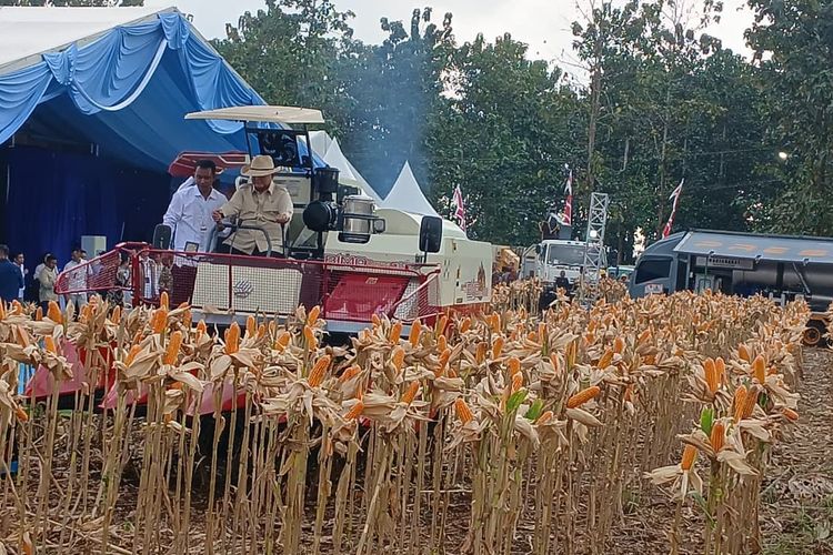 Panen Raya Jagung di Tuban, Prabowo Ungkap Kedekatannya dengan Petani