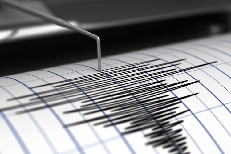 An illustration of an earthquake chart