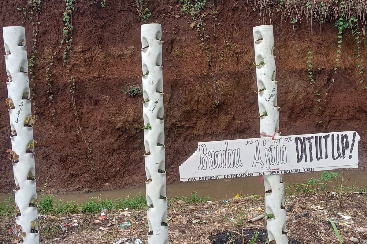 Bambu pethuk yang mampu menyeluarkan air di Cianjur, Jawa Barat ternyata hanya kreativiras seni warga