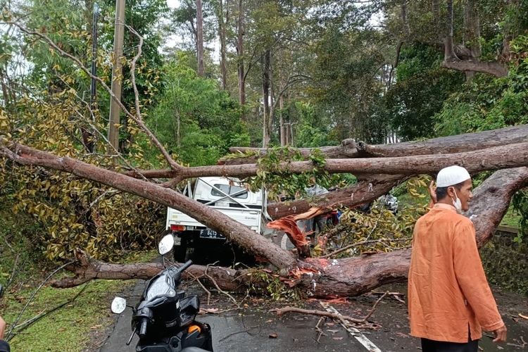 Mobil bak terbuka tertimpa pohon tumbang di Jalan Raya Cibadak-Palabuhanratu, Cikidang, Sukabumi, Jawa Barat, Minggu (27/2/2022).