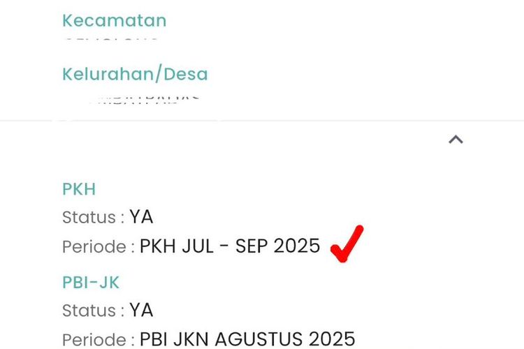 Tangkapan layar cek bansos PKH BPNT Oktober 2025 di aplikasi Cek Bansos Kemensos. PKH 2025. BPNT 2025. Cek bansos PKH BPNT 2025. PKH BPNT 2025. Cara cek bansos Kemensos.
