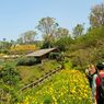 Rainbow Garden Lembang Punya Spot Foto Menarik 