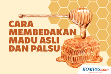 INFOGRAFIK: Cara Membedakan Madu Asli dan Madu Palsu