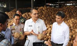 Di Tengah Pandemi Covid-19, Ekspor Kelapa Parut RI Terus Meningkat