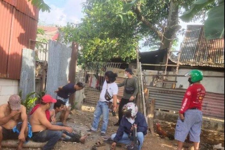 Judi sabung ayam digerebek jajaran Polsek Manggala di Jl Pattunuang Dg Hayo, Kelurahan Boros, Kecamatan Manggala, Kota Makassar, Selasa (10/8/2021) sore