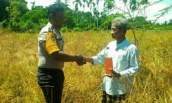 Simak, Enam Strategi Kementan untuk Regenerasi Petani