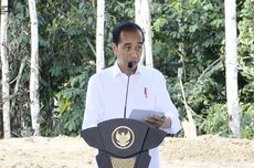 Jokowi: Mobil BBM Akan Dilarang di IKN