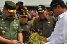Menteri Pertanian Canangkan Lamongan Sebagai Lumbung Benih Jagung Nasional