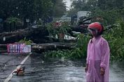 Pohon Tumbang Blokir Jalan di Tulungagung, Arus Lalu Lintas Ditutup