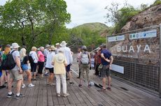 Syarat Trekking di Loh Buaya di TN Komodo, Usia Maksimal 65 Tahun