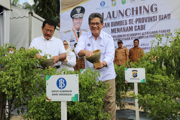 Deputi Gubernur Bank Indonesia Doni Primanto Joewono saat launching program optimalisasi peran Badan Usaha Milik Desa (BUMDes) se-Provinsi Riau pada Senin (12/9/2022)