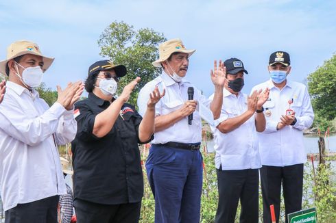 BRGM Siap Percepat Penanaman Mangrove di 9 Provinsi