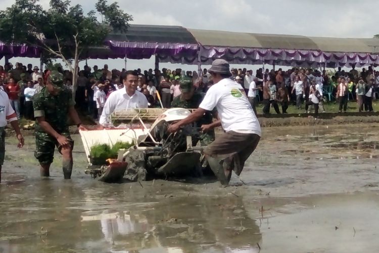 Menteri Pertanian Andi Amran Sulaiman saat tanam padi di Desa Sari, Kecamatan Gajah, Kabupaten Demak,  Jateng, Selasa (23/1/2018).