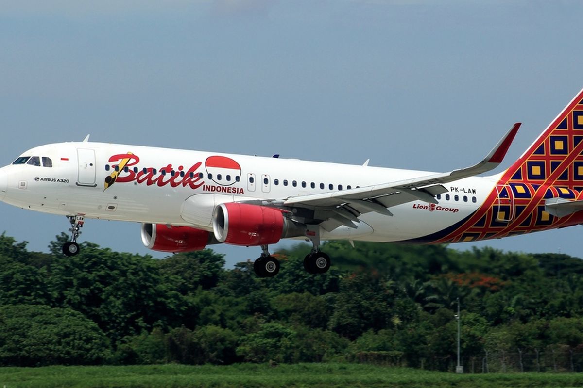 Ilustrasi pesawat batik air.