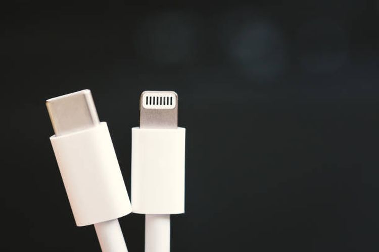 Perbedaan USB-C dan Lightning.