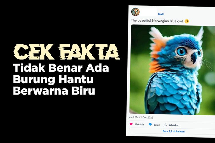 Cek Fakta: Tidak Benar Ada Burung Hantu Berwarna Biru