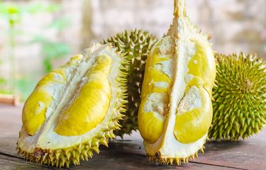 Kalori durian