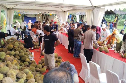 6.000 Buah Durian Lokal Unggulan Disajikan dalam Festival Durian Kuningan
