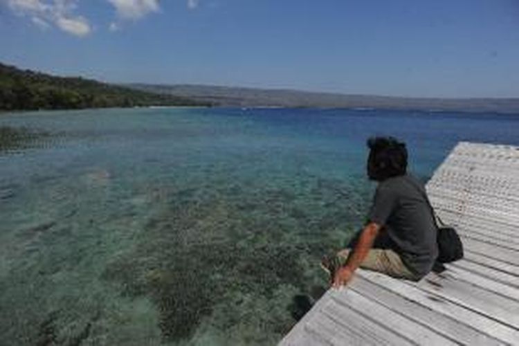 Suasana di Pulau Moyo, Kabupaten Sumbawa, Nusa Tenggara Barat, Kamis (6/9/2012). Pulau Moyo menawarkan eksotisme alam berkelas dunia, bahkan mendiang Putri Diana dan mantan kiper Manchester United, Edwin Van De Saar pun pernah berlibur di pulau ini. Panorama alam yng dimiliki Pulau Moyo tidak kalah dengan panorma yang berada di pulau Bali.  