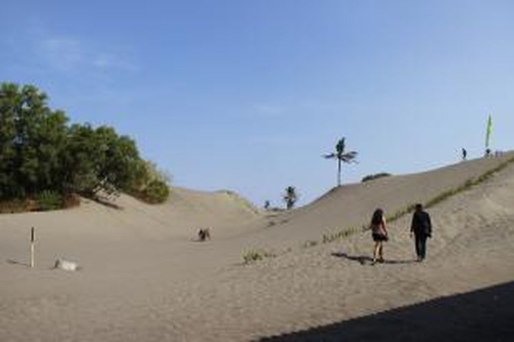 Wisatawan mengunjungi obyek wisata gumuk pasir Parangkusumo, Kecamatan Kretek, Bantul, Daerah Istimewa Yogyakarta, Minggu (23/8/2015). Sebagian wisatawan memanfaatkan gumuk pasir untuk melakukan permainan sandboarding.