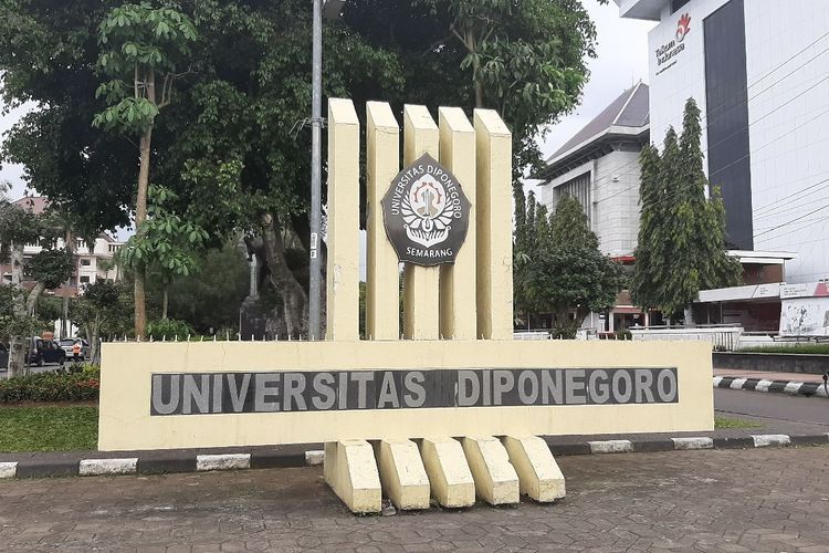 Ilustrasi Universitas Diponegoro